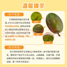 京鮮生 攀枝花凱特芒 凈重8.5斤 帶箱9斤 單果600g+ 生鮮水果 源頭直發(fā) 曬單實(shí)拍圖