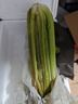 京鮮生山東新鮮大西芹凈重4.5斤榨汁現(xiàn)挖芹菜鮮嫩蔬菜 去半葉源頭直發(fā) 曬單實拍圖