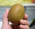 佳沛（zespri）新西蘭  陽光金奇異果6粒裝 單果約77-103g  源頭直發(fā)  獼猴桃 曬單實拍圖