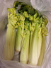 綠食者新鮮水果清芹芯 迷你西芹嫩芽生吃榨汁酒店特色菜 滿(mǎn)5件包郵 1斤 曬單實(shí)拍圖