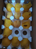 京覓黃桃水果蒙陰桃子新鮮黃金蜜桃 凈重4.5斤 單果150g起 源頭直發(fā) 曬單實(shí)拍圖