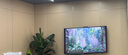 華為Vision智慧屏 5 SE 85英寸 鴻蒙AI搜片 MiniLED鴻鵠畫(huà)質(zhì)國(guó)家補(bǔ)貼Pura 80投屏平板電視機(jī)HD85KULU 曬單實(shí)拍圖