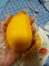 鄉(xiāng)果繽紛廣西芒果小臺(tái)農(nóng)芒果當(dāng)季新鮮百色芒果爆甜大果整箱批發(fā)產(chǎn)地直發(fā) 凈重4.5斤大果【單果100g以上】 曬單實(shí)拍圖