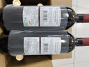 圖利斯法國原酒進口紅酒 圖利斯系列 干紅葡萄酒節(jié)日禮品 750ml 整箱6支 曬單實拍圖