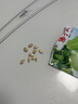 佛手瓜種籽 佛手瓜種子農(nóng)家田園春夏種植蔬菜種子 量易成活 佛手瓜種子 簡裝10粒 曬單實(shí)拍圖