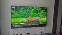 海信電視E7N Pro 85英寸信芯芯片H6 U+Mini LED墨晶屏 300Hz高刷AI智能85E7N-PRO國家補(bǔ)貼20% 曬單實拍圖