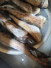 無頭魚深海鱈魚去頭去內臟鱈魚塊明太魚寶寶輔食海水魚鱈魚狹魚 【400克左右/條】 去頭去內臟鱈魚【五斤裝】 曬單實拍圖
