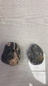 東岳泰山石天然原石泰山石敢當(dāng)鎮(zhèn)宅辦公室小擺件正宗青石石頭 泰山石--原石立式高31-35厘米 曬單實(shí)拍圖