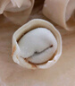 灣仔碼頭 上湯小云吞 早餐速食 生鮮食品 [熱銷爆款]鮮美豬肉云吞600g*3袋 曬單實(shí)拍圖