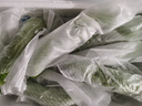 新鮮現(xiàn)摘當(dāng)季綠色蔬菜苦瓜涼瓜清脆爽口青皮涼拌瓜山東新鮮苦瓜 現(xiàn)摘現(xiàn)發(fā)新鮮苦瓜 3斤 曬單實拍圖