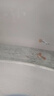 卡奇魚 孔雀魚 鳳尾魚 胎生魚 熱帶觀賞魚淡水活體魚小型魚純種好養(yǎng)易活 七彩蕾絲孔雀魚1對 曬單實拍圖
