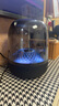 哈曼卡頓（Harman/Kardon）琉璃4代音響Aura Studio 4 音樂琉璃3代升級款360度環(huán)繞立體聲菱形氛圍燈效電腦藍牙音箱禮物 琉璃4代黑色 曬單實拍圖
