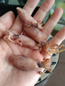 海兔干貨 筆管魚(yú)干貨滿(mǎn)籽小魷魚(yú) 250g 曬單實(shí)拍圖