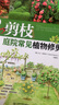 剪枝——庭院常見植物修剪（庭要素） 藤蔓、樹籬、花木、果木修剪、造型 曬單實拍圖