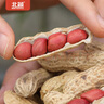 北蔬 花生種子原種新品種產(chǎn)高黑花生紅皮四粒紅農科院種籽 四粒紅花生種子1斤【推薦不帶殼 曬單實(shí)拍圖