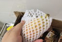 果真游順豐當(dāng)季甘肅新鮮香蕉梨太婆梨軟梨大頭梨茄梨大頭梨水果軟糯香甜 5斤大果12-13個到貨青，放黃了吃 曬單實拍圖