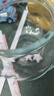 膳魔師復(fù)古系列316L不銹鋼吸管杯學(xué)生成人水杯保溫杯570ml大容量  綠 曬單實(shí)拍圖