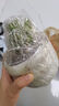 佰花錦萬重山仙人球聚財山盆栽多肉綠植花卉電腦植物防輻射桌面陽臺 萬重山+北歐甜甜圈樹脂盆 10-20cm 曬單實拍圖