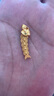 中國黃金足金金魚五帝錢吊墜女新款招財錢幣項七夕情人節(jié)禮物送女朋友老婆 足金金魚錢幣吊墜 約3.2g【贈純銀鏈】 曬單實拍圖