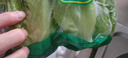 【高原夏菜】鐘靈山羅馬生菜400g 曬單實拍圖