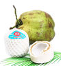 佳農(nóng)泰國(guó)進(jìn)口椰青6個(gè)裝大果 單果900g+  贈(zèng)開(kāi)椰器新鮮水果 源頭直發(fā) 曬單實(shí)拍圖