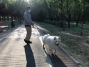 HUNTER德國進(jìn)口中大型犬狗狗牽引繩加粗防爆沖狗繩p繩P鏈狗鏈一體訓犬繩 黑色 長(cháng)180cm,直徑1.0cm（中大型犬） 曬單實(shí)拍圖