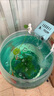 坤寧王 亞甲基藍(lán)魚藥魚缸殺菌消毒溶液養(yǎng)魚用爛身爛尾白點(diǎn)凈水霉病克星 曬單實(shí)拍圖