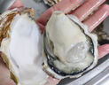 貝司令【源頭直發(fā)】鮮活乳山生蠔牡蠣貝類燒烤4XL號(hào)凈重10斤 海鮮水產(chǎn) 曬單實(shí)拍圖