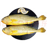 鴻順 寧德三去大黃魚700g/2條 去鱗去腮去內(nèi)臟 黃花魚 魚類 生鮮  曬單實拍圖