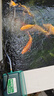 海利海利9720超靜音增氧泵戶(hù)外防雨水魚(yú)池專(zhuān)用氧氣泵海鮮池養殖打氧泵 20W +25雙圈爆氧圈+5米氧氣管 曬單實(shí)拍圖