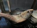 川澤鰱鳙珠珠軟餌軟珠釣魚浮珠反底釣路亞拖釣誘魚專用仿生假餌爆鰱珠 爆鰱珠（蒜香味） 25顆/盒 曬單實(shí)拍圖