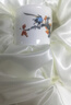華光國瓷 陶瓷整套茶具 骨瓷茶具套裝一壺四杯 功夫茶具  嶺南風光 曬單實拍圖