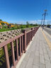 世騰定制戶外塑木護欄扶手河道公園防腐木欄桿地板棧道景區(qū)塑木圍欄廠 三橫桿 高度1.0米 曬單實拍圖