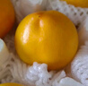 京鮮生 彩虹油桃 凈重4.5斤 單果100g+  生鮮水果 源頭直發(fā) 曬單實(shí)拍圖