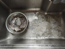鯧魚 特大銀鯧魚新鮮冷凍白鯧魚大小昌魚海鮮青島平魚 【順豐】5斤銀鯧魚 每斤6-8條 曬單實拍圖