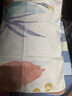 潔麗雅（grace）全棉枕套48x74cm100純棉一對裝雙人家用枕巾枕芯套宿舍單人枕頭套 清雅【全棉枕套100%全棉】 48×74cm【一對裝】 曬單實拍圖