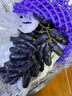 A佳順豐包郵藍(lán)寶石葡萄新鮮金手指葡萄無籽脆甜提子黑美人指當(dāng)季水果 精選1斤 順豐+泡沫箱+冰袋 曬單實(shí)拍圖