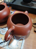 陶舍軒宜興紫砂壺 純手工 雞血大紅袍【西施】泡養(yǎng)效果驚人 茶具茶壺 大紅袍（西施） 250ml 曬單實拍圖