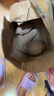 【搶購中】超甜沙地紅薯1/10斤新鮮紅蜜薯地瓜番薯板栗煙薯蔬菜 9-10斤裝大果 產(chǎn)地直發(fā)+壞果包賠+今年新薯 曬單實拍圖