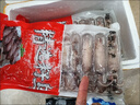 海兔子滿籽筆管魚新鮮墨魚籽烏賊小管魷魚冷凍筆管海兔子順豐 滿籽筆管魚1斤*2包 曬單實拍圖