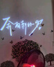 東之天地 生日快樂(lè )投影儀派對場(chǎng)景布置情侶拍照道具裝飾投影氛圍投影燈 粉色投影儀1個(gè)裝 11張生日投影 曬單實(shí)拍圖