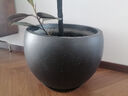LZJV鎂泥特大號花盆奶油風(fēng)半圓輕奢感花盆大號黑金剛橡皮樹(shù)百合竹家 黑色多點(diǎn) 43*43*32 (外徑*高) 曬單實(shí)拍圖