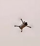大疆（DJI）Mini 3 無人機新手入門級無人機航拍高清圖傳專業(yè)迷你3智能長續(xù)航10公里遙控飛機帶屏遙控器便攜 Mini 3 帶屏版暢飛套裝（三電池） 官方標配（無內(nèi)存卡） 官方標配 官方標配1 送 曬單實拍圖
