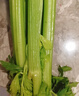 【榨汁西芹】壽光現(xiàn)割農(nóng)家西芹汁多筋少安療榨汁新鮮芹菜去葉發(fā)貨 【凈重3斤】農(nóng)家去葉西芹 曬單實拍圖