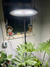 DEATKN德國全光譜植物生長(cháng)補光燈仿太陽(yáng)光模擬燈室內養綠植花卉植物燈落 有定時(shí)有調光-100W丨配支架可上 曬單實(shí)拍圖