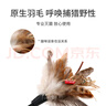 貴為（GiGwi）逗貓玩具小貓咪幼貓磨牙耐咬原生羽毛長毛絨逗貓棒寵物玩具 曬單實拍圖