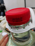 紅荔牌米香型白酒 30度浸泡酒2.5L 紅米酒泡酒專(zhuān)用廣東米酒泡酒青梅果酒 曬單實(shí)拍圖