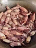 滿(mǎn)籽海兔籽烏帶籽筆管魚(yú)全籽熟凍墨魚(yú)仔小魷魚(yú)海鮮水產(chǎn)火鍋食材 1斤 450g(凈重） 一斤10只 曬單實(shí)拍圖