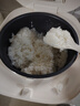 米家小米電飯煲家用3-4個人 多功能電飯鍋煮粥鍋煮飯 不粘鍋內(nèi)膽 智能預約帶蒸籠N1 4升【C1升級款】 曬單實拍圖