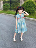 FIDQIOG國際品牌夏季新款女童公主裙胖小女孩可愛連衣裙2025 藍色【格子款】 【現(xiàn)貨速發(fā)】 140 cm 曬單實拍圖